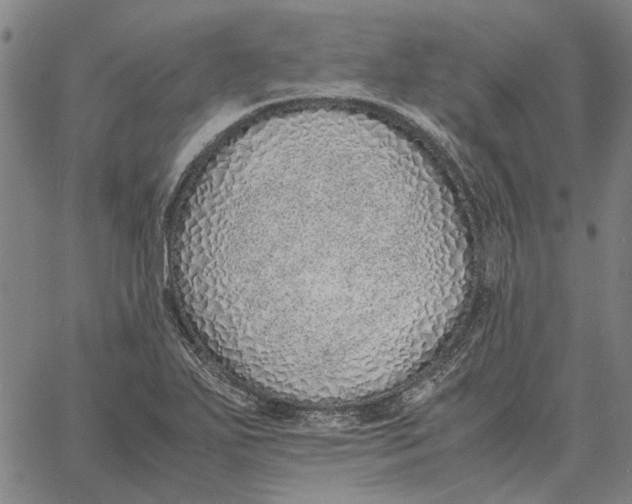 X0000061721271200512231359