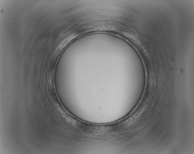 X0000061721273200512231359