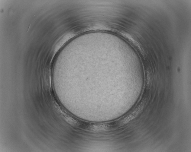 X0000061721274200512231359