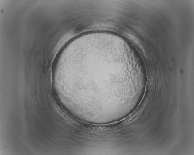 X0000061721275200512231359