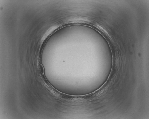 X0000061721277200512231359