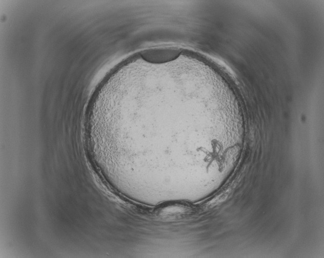 X0000061721279200512231359