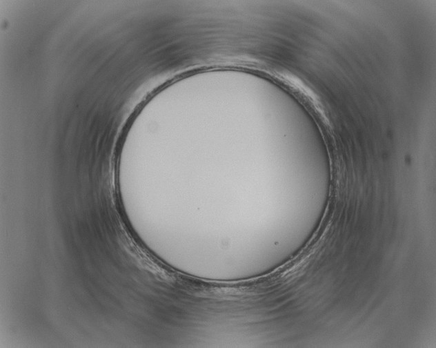 X0000061721280200512231359