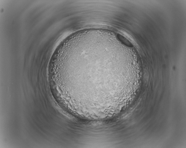 X0000061721283200512231359