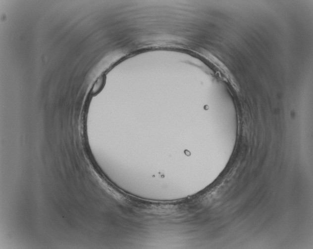 X0000061721285200512231359