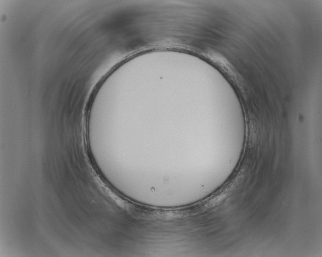 X0000061721286200512231359