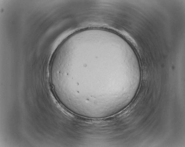 X0000061721287200512231359