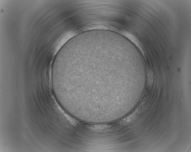 X0000061721290200512231359