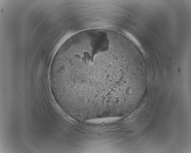 X0000061721291200512231359