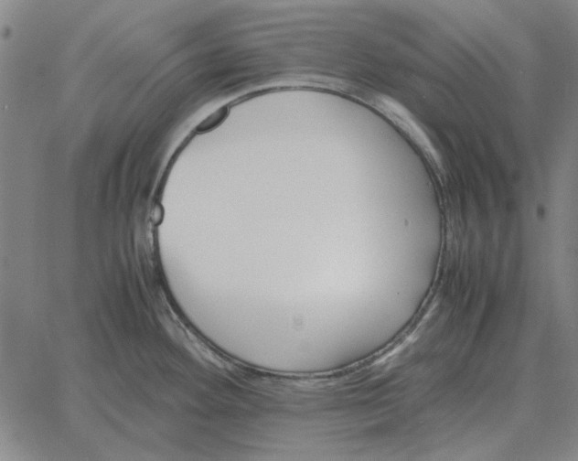 X0000061721292200512231359