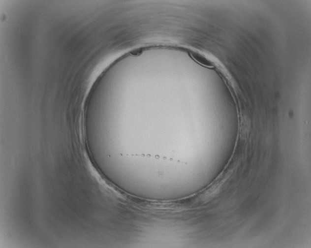 X0000061721295200512231359