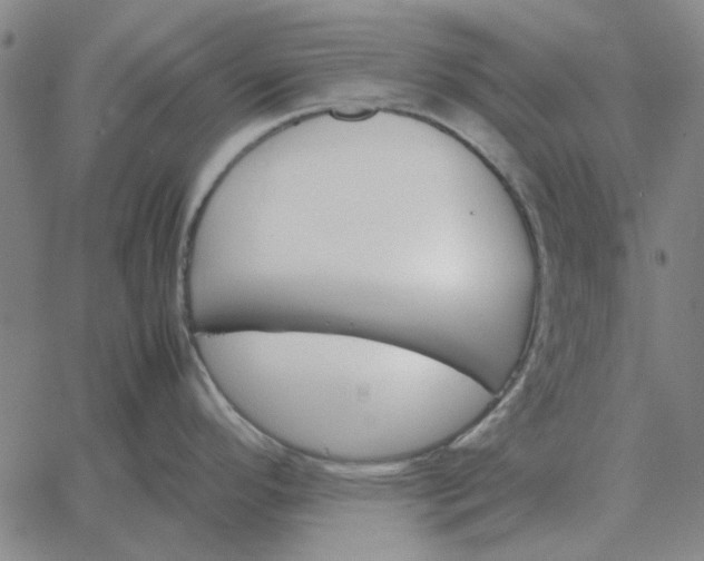 X0000061721296200512231359