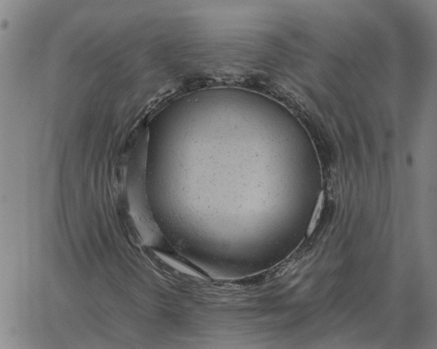 X0000061721298200512231358