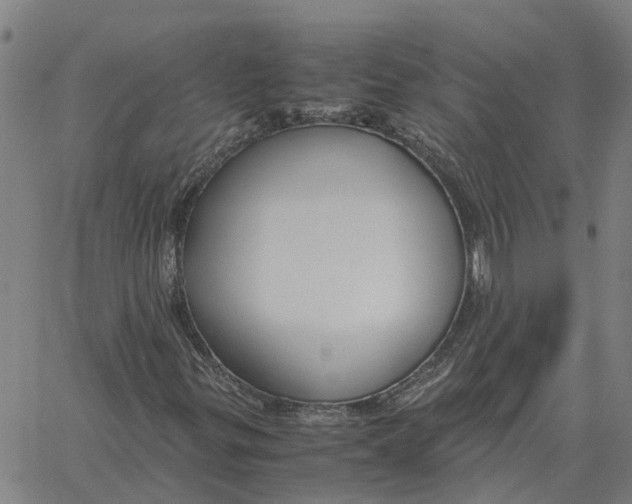 X0000061721299200512231358