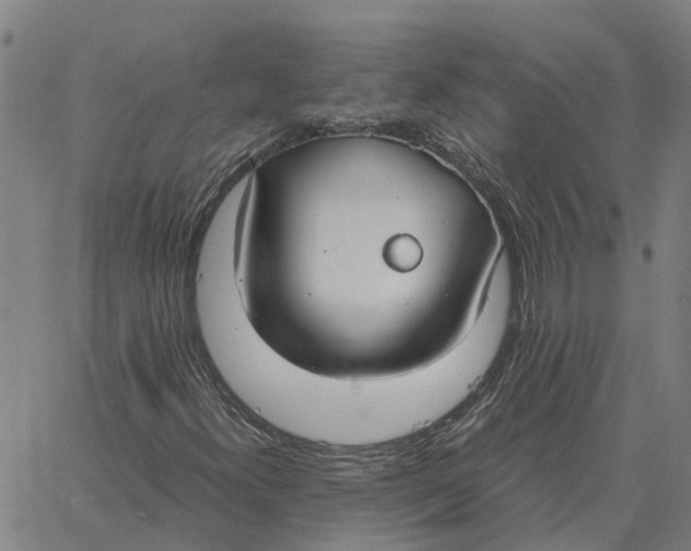 X0000061721300200512231358