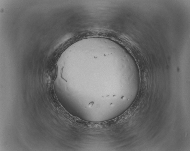 X0000061721302200512231358