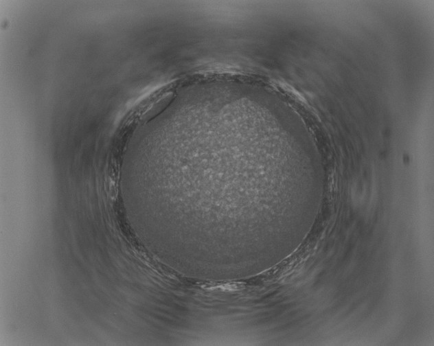 X0000061721303200512231358