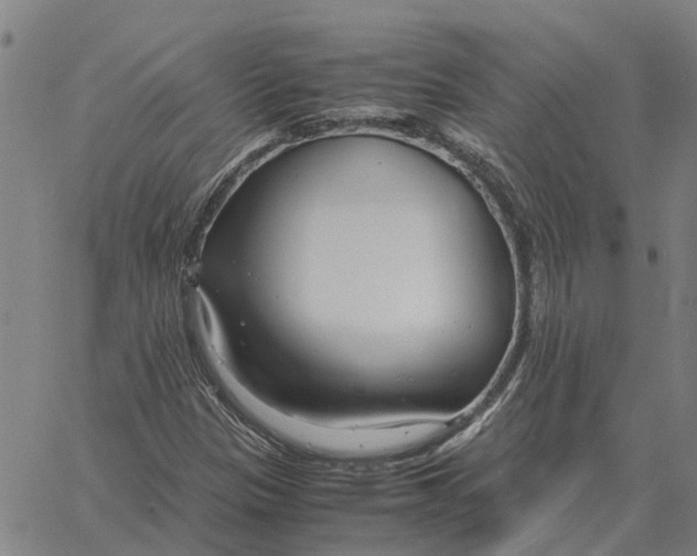 X0000061721305200512231358