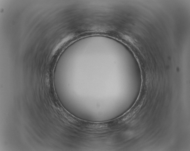 X0000061721307200512231358