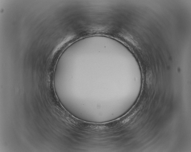 X0000061721309200512231358