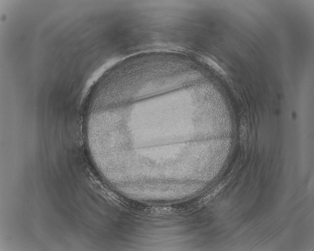 X0000061721310200512231358