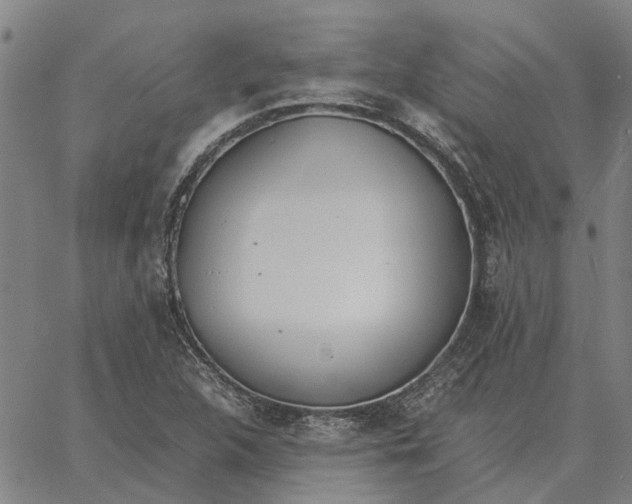 X0000061721312200512231358