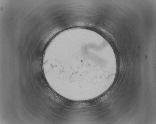 X0000061721314200512231358