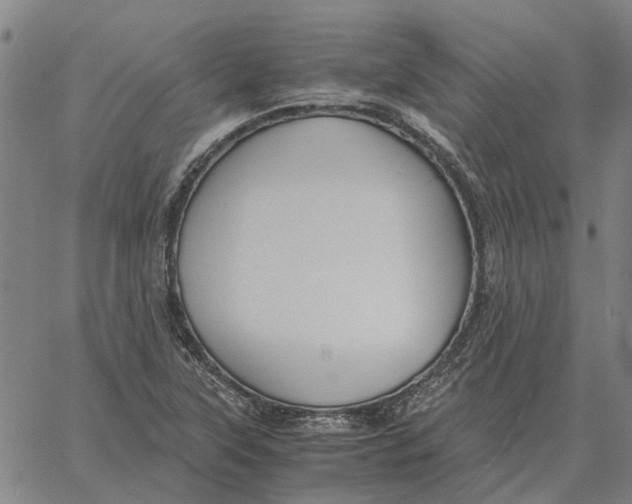 X0000061721315200512231358