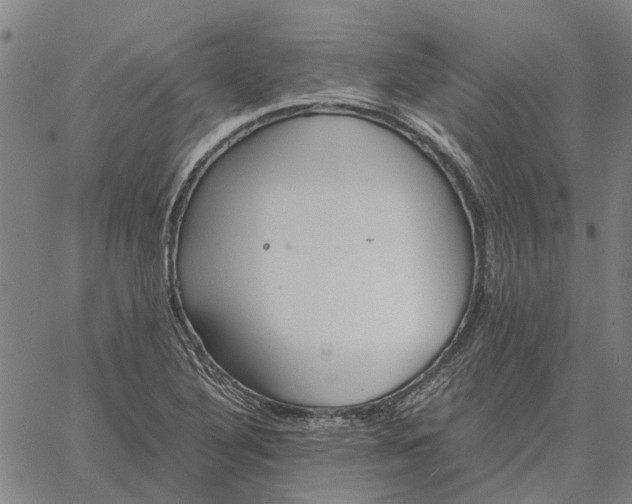 X0000061721316200512231358