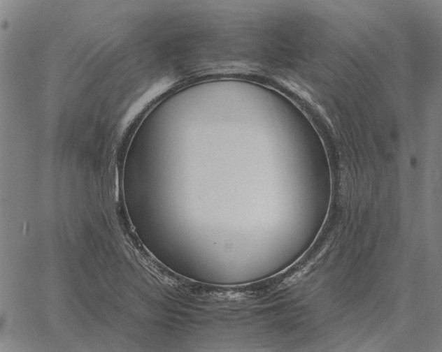 X0000061721317200512231358