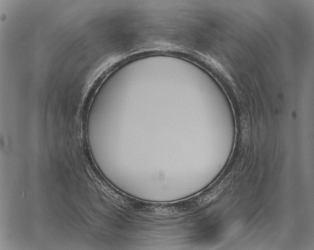 X0000061721318200512231358