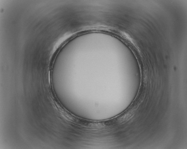 X0000061721320200512231358