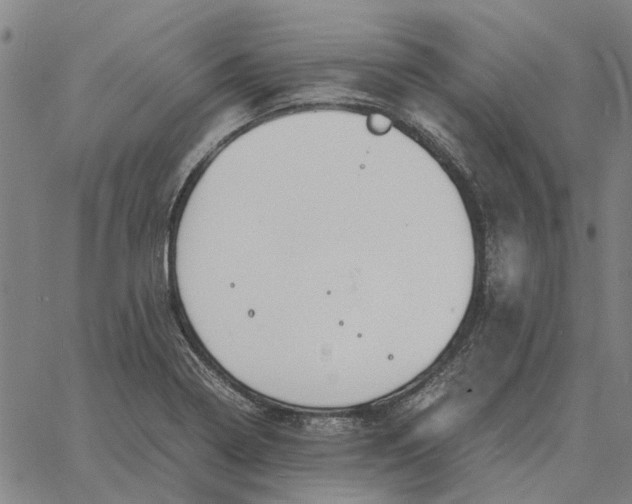 X0000061721322200512231358