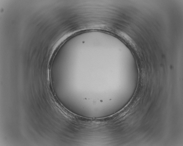 X0000061721324200512231358