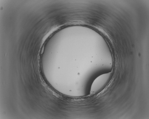 X0000061721325200512231358