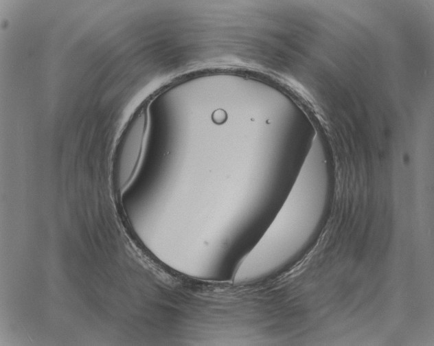 X0000061721326200512231358