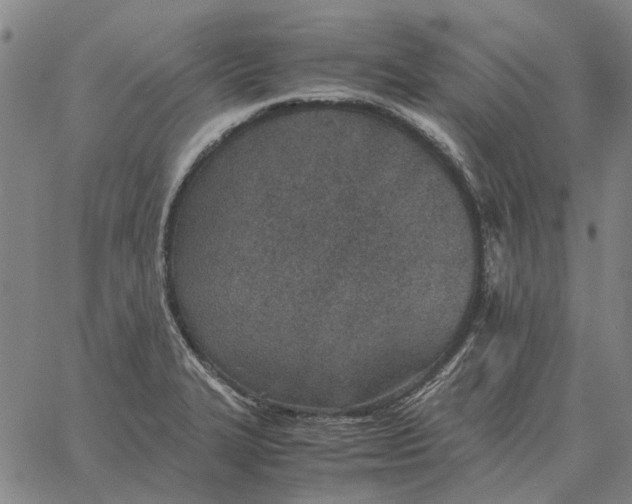 X0000061721327200512231358