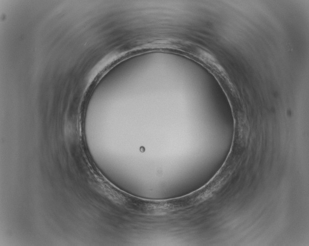 X0000061721328200512231358