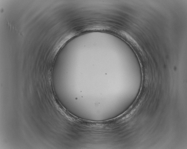 X0000061721329200512231358