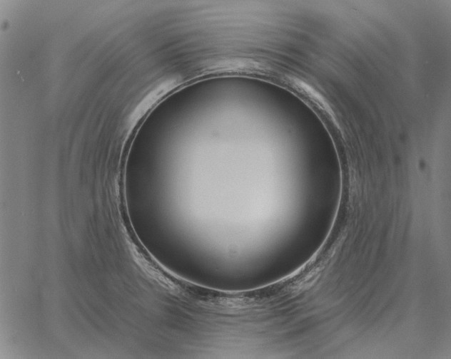 X0000061721330200512231359