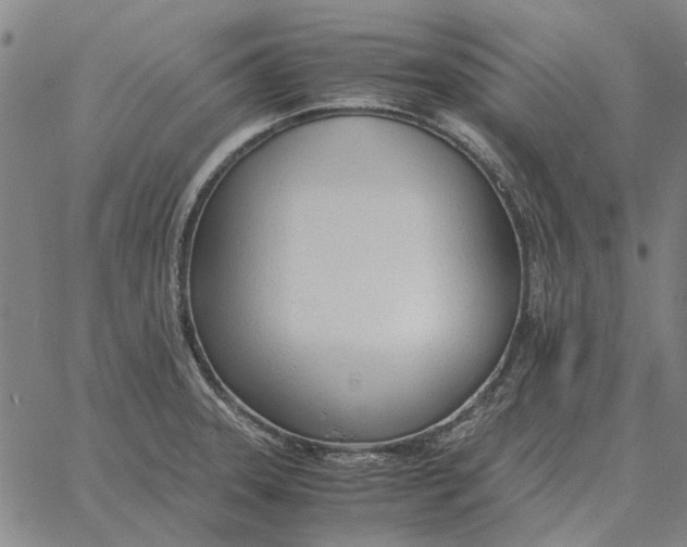 X0000061721331200512231359