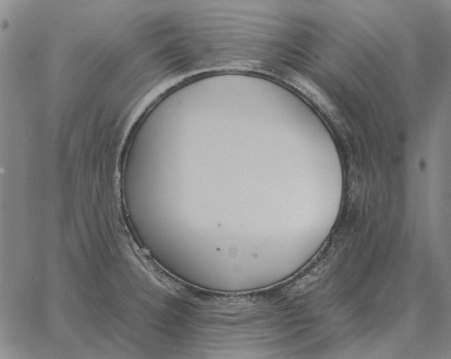 X0000061721332200512231359