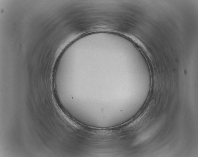 X0000061721333200512231359