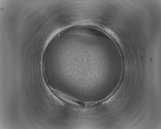 X0000061721334200512231359