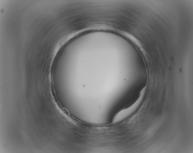 X0000061721335200512231359