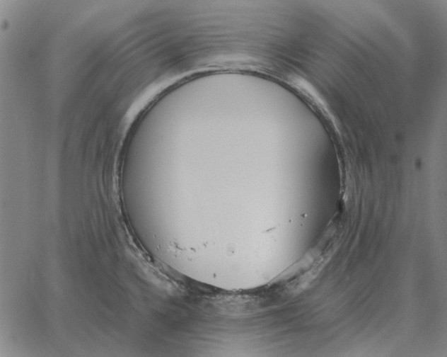 X0000061721336200512231359