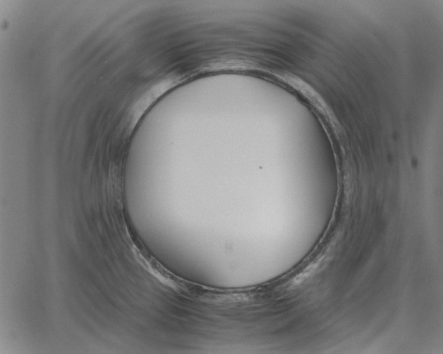 X0000061721337200512231359