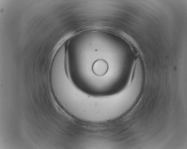 X0000061721338200512231359