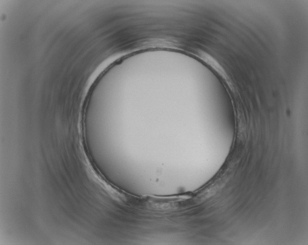 X0000061721339200512231359