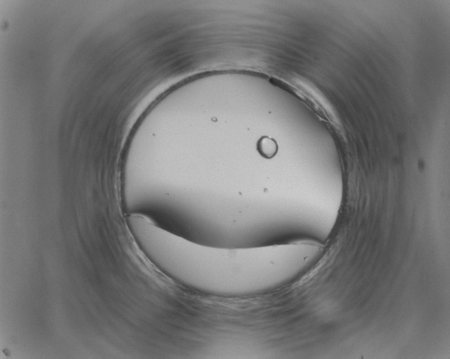 X0000061721340200512231359